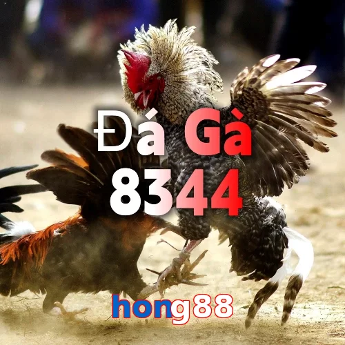 hong88